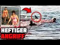 Diese 2 Frauen Wurden In Ägypten Von Einem Hai Schrecklich Angegriffen Und Zerfetzt!