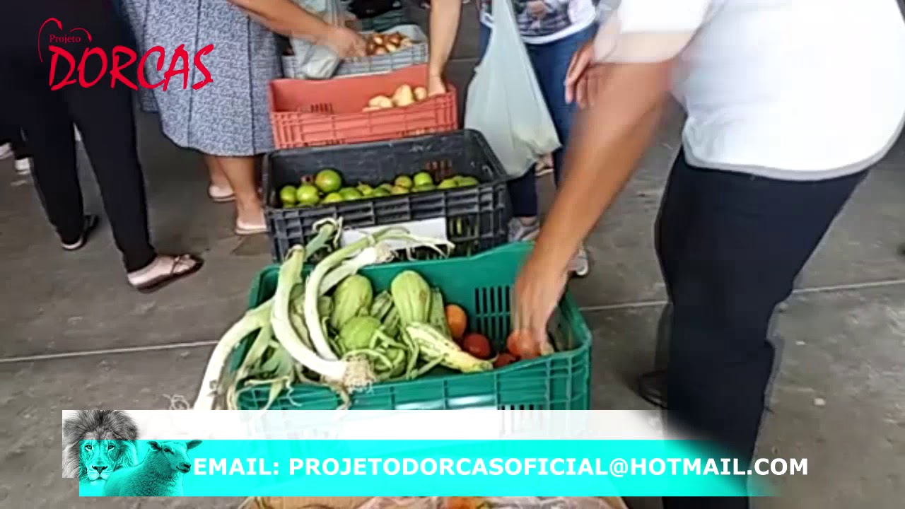 Projeto Dorcas - Aprisco das Ovelhas #2