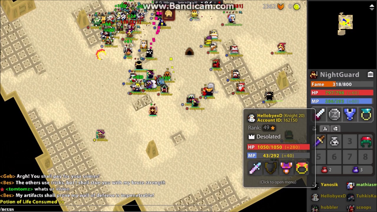 Nilly's Realm ppe Paladin #2