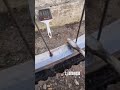 limpeza de Roda de Bike com Vexuss e Izer #vexuss #izer #bike