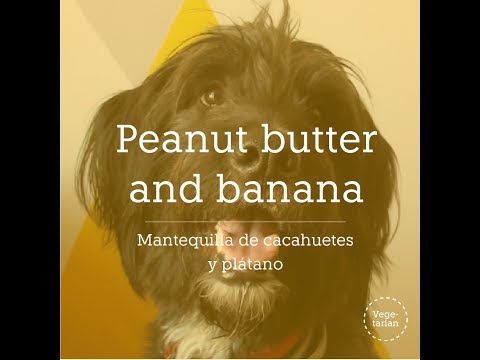 Video: Naudanliha ja banaani baarien koiran resepti