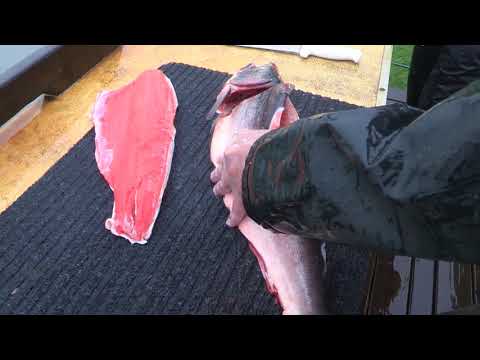 how-to-fillet-a-salmon-and-remove-the-pin-bones.