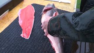 How to fillet a salmon and remove the pin bones.