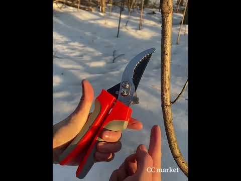 Секатор садовый на