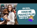 Plus de chiens et chats en animalerie 