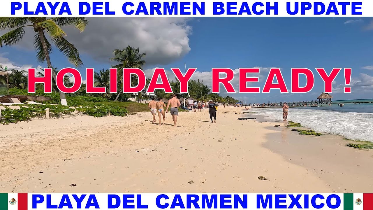 Обновление информации о пляжах и морских водорослях в Плайя-дель-Кармен, Мексика: пляжи готовы к ...