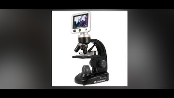 Guide to LCD Digital Microscope II (USF)