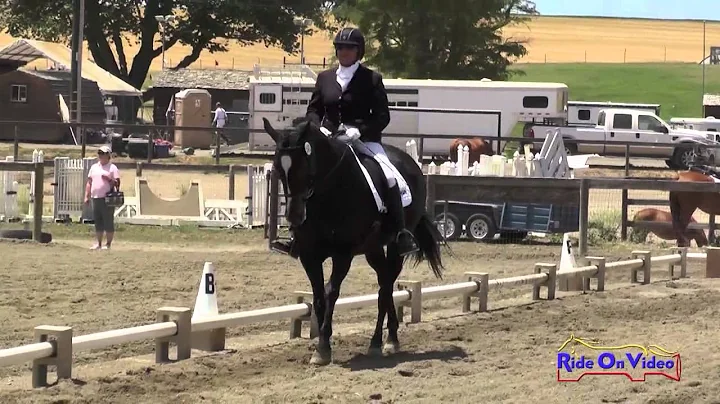 141D Linda Betts on Willing Accomplice SR Beginner...