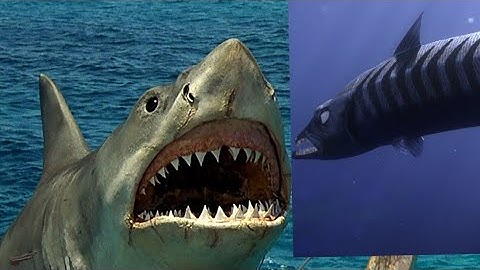 Bruce (Jaws) Vs Barracuda (Finding Nemo)