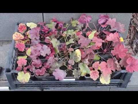 Наклейки своими руками без скотча и клея