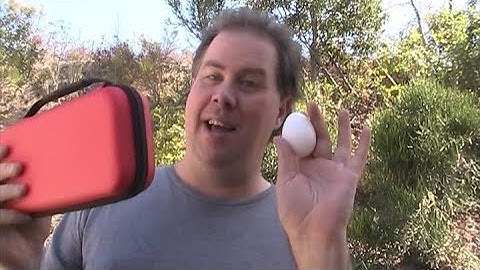 Nintendo Switch Case Review! (Amazon Basic Version)