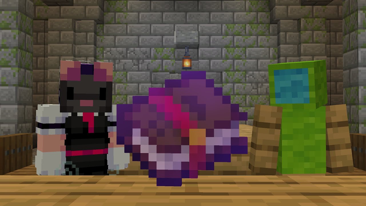 This Minecraft SMP has the Weirdest Enchantments - YouTube