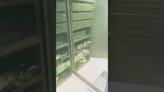 Bangladeshi Cricketer Nasir Hossain Home Video Recorded By Nasir Girlfriend Sha Humyra Subah