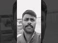 fanny