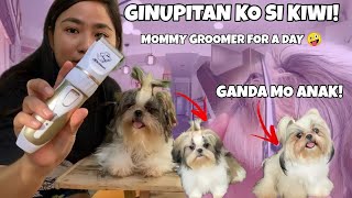 ANG BAHO NI KIWI! BAKIT NGA BA MABAHO ANG MGA SHIHTZU? (BASIC GROOM TUTORIAL FOR SHIHTZU)