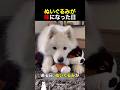 ぬいぐるみが妹になった日