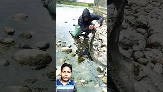 Download Lagu Kitang kita ang karpa #shorts #shortsfeed MP3