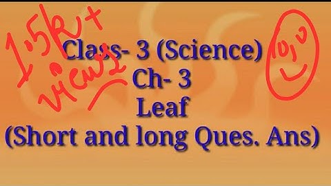 Dav Class 3 Ch-3 Leaf (Short and long Question Answers)