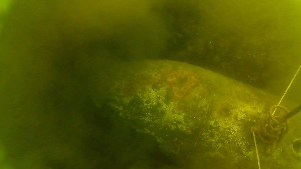 6.05.18(подводная съемка).фугас