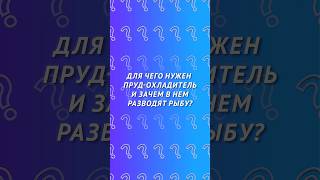 Для чего нужен пруд-охладитель и зачем в нем разводят рыбу? #наука #прудохладитель #атом