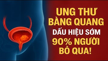 Nguyên Nhân Thật Sự Gây Ung Thư Bàng Quang – Bạn Có Đang Mắc Phải? | Tuổi Già Thông Minh
