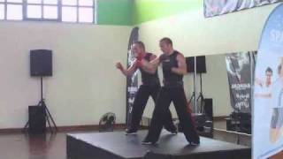 fight do 33 update portugal