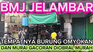 UPDATE BONGKARAN TADI PAGI !!DAN JUGA BAGI BAGI REZEKY KOCOKAN KUPON BERHADIAH MURAI BATU HARI INI !