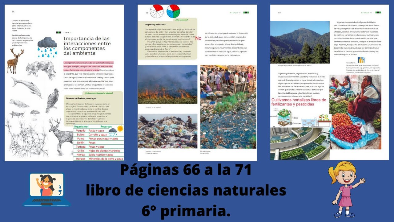 Páginas 66 a la 71 libro de ciencias naturales 6° primaria - YouTube
