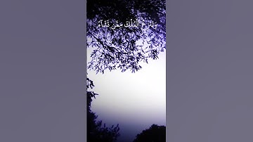 سورة آل عمران الآية 25 و 26 و 27  بصوت القارئ محمد الفقيه