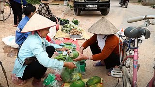 Giant Python Encounter: Harvesting Papaya and Market Selling | Garden Life