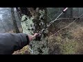 Food Bag Hanging Tip When Using Bear Cables on the Appalachian Trail