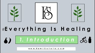 Everything Is Healing : Introduction