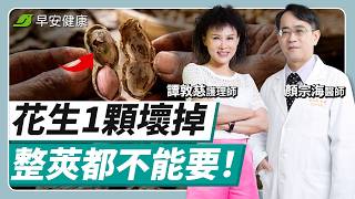 花生粉、花生醬其實超危險！這招避開一級致癌物「黃麴毒素」︱︱譚敦慈 × 顏宗海【早安健康X譚敦慈的保健教室】
