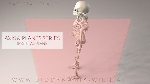 Axes & Planes Series, Part 3: Sagittal Plane (3D Animation)