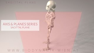 Axes & Planes Series, Part 3: Sagittal Plane (3D Animation)
