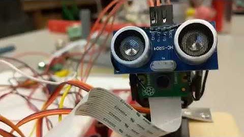 Digital Signal Processing Distance Sensing Security System