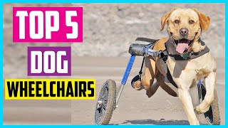 ✅ Top 5 Best Dog Wheelchairs In 2024