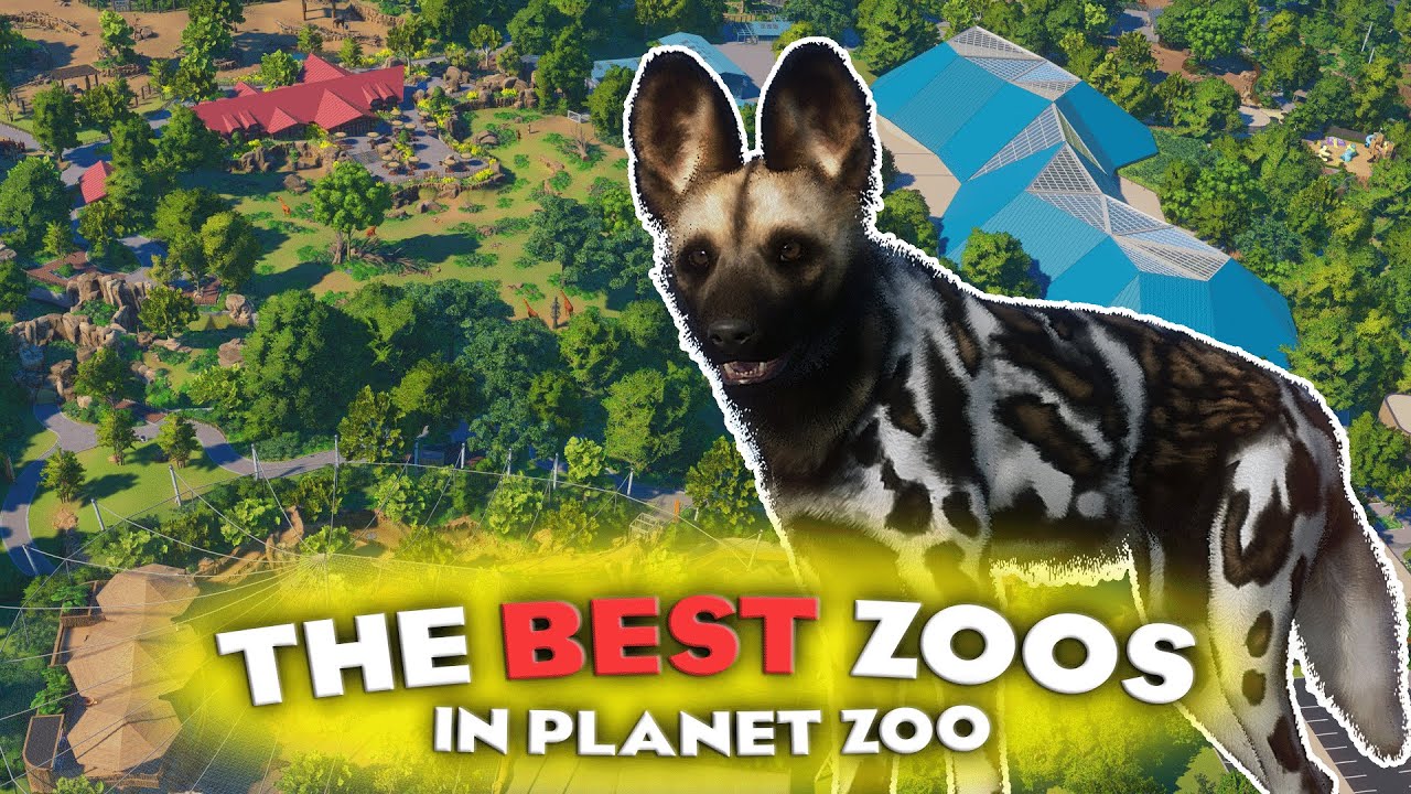 the-best-zoo-s-in-planet-zoo-youtube