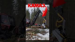 Харвестер КамАЗ #лесозаготовка #форвардер #харвестер #камаз #logging #shorts