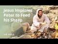 Jesus Christ Implores Peter To "Feed My Sheep"