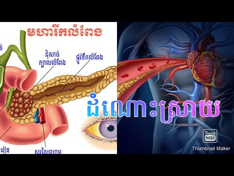 ស្វែងយល់ អំពី លំពែង, រលាកលំពែង, មហារីកលំពែង​ និងការការពារ.