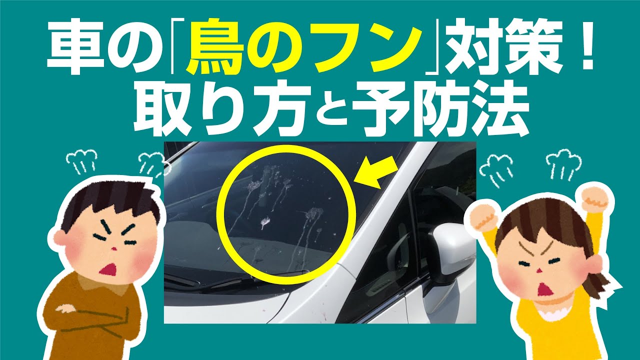 車の鳥のふん対策 取り方と予防法を両方解説します 生活堂