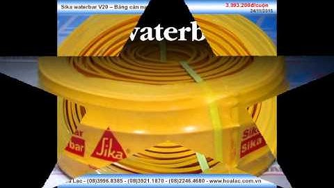 Băng cản nước PVC Sika waterbar