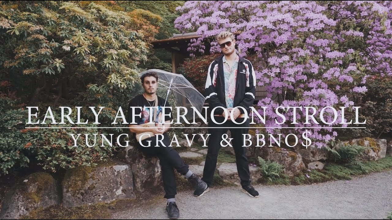 Young Gravy bbno$. "Yung Gravy" && ( исполнитель | группа | музыка | Music | Band | artist ) && (фото | photo). Stroll перевод. Early afternoon