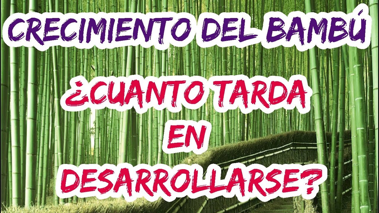 Cuanto Tarda En Crecer Un Niscalo