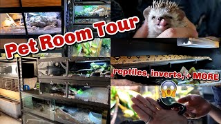 Pet Room Tour! UPDATED! 30 Animals in 1 Room!