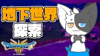 【ドラゴンクエスト3HD-2D】大穴を抜けると、そこはアレフガルドだった。#10 (ネタバレ注意)【Vtuber】