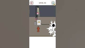 Thief Puzzle Level 25