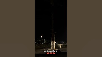 قرآن كريم بصوت جميل يريح القلب ماشاءالله #قران_كريم #اكسبلور #المصحف #دويتو #الظروف #لايك #اكسبلور
