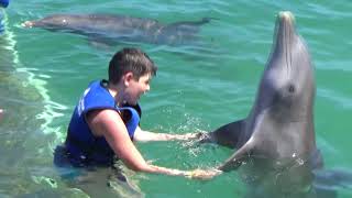 Lucas e os Golfinhos-Punta Cana